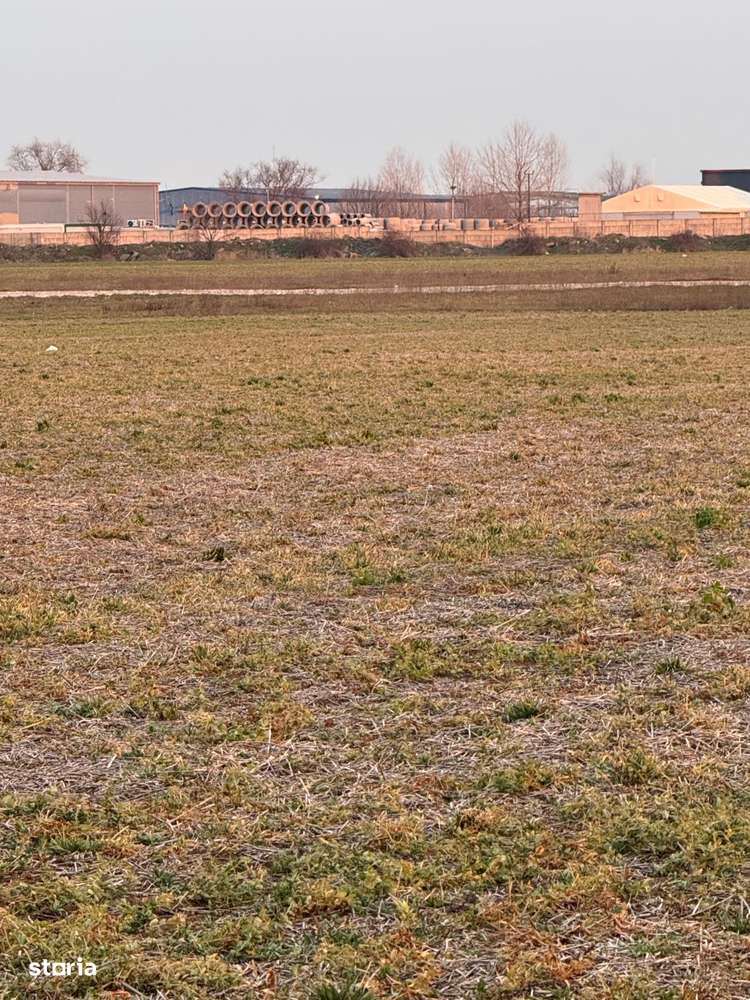 Vanzare Teren Magurele  10000mp - Imagine principală: 1/15