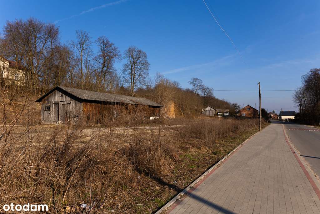 Działka budowlana 3 710 m2 Zakościele nad Pilicą - Pełny obrazek: 5/11