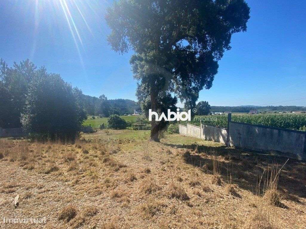 Lote para Construção de Moradia Térrea em Chorente Barcelos - Grande imagem: 5/9