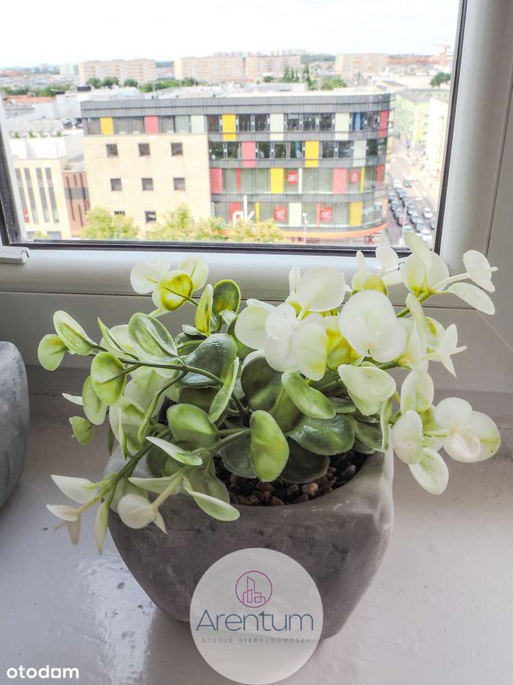 Plac Żołnierza 2pok. 36,71m2 widok na Szczecin-16