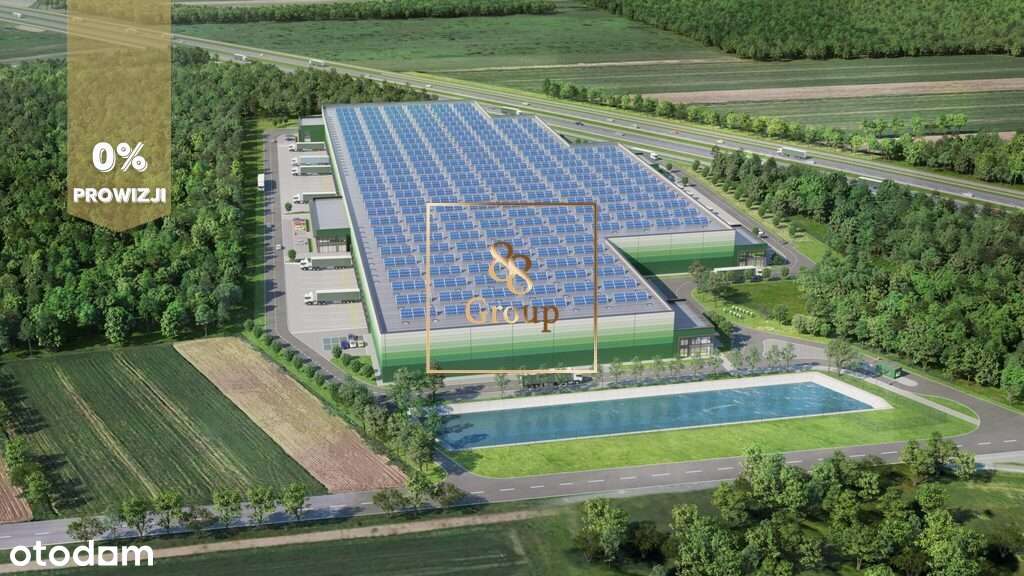 Hala 5 000 m2, wysokie składowanie. Stary Konik - Pełny obrazek: 4/7