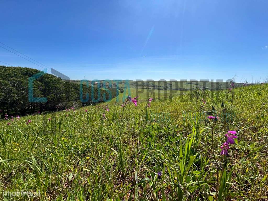 Terreno Rustico na Encantadora Aldeia Raposeira - Grande imagem: 3/18