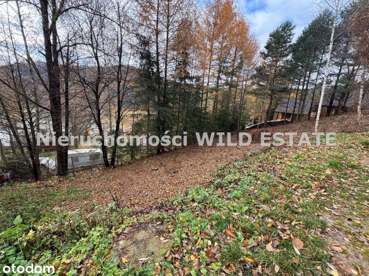 Działka, 780 m², Polańczyk - Pełny obrazek: 5/8