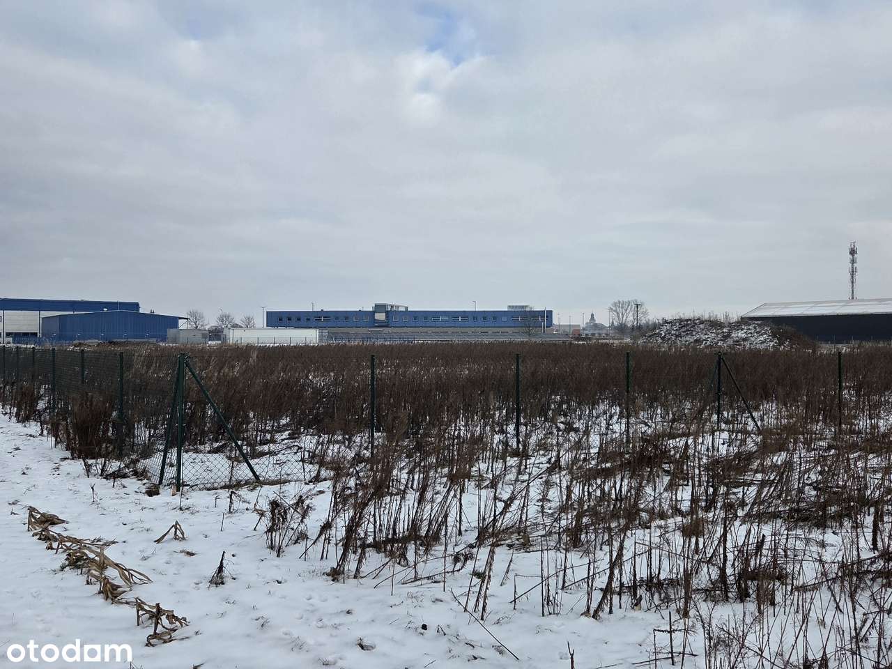 GRUNT INWESTYCYJNY na strefie przemysłowej - Kłoda, ul. Produkcyjna-7