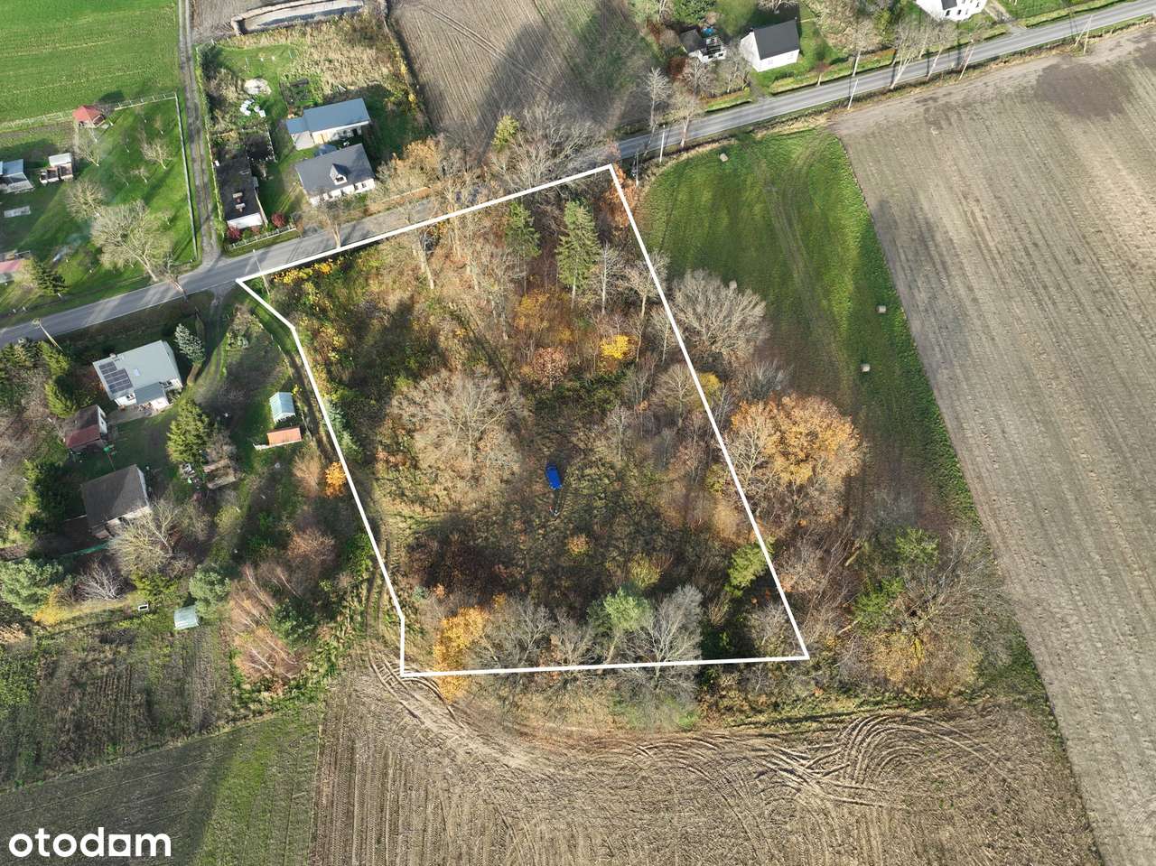 Działka 0,62 ha | Pobłocie | Przy drodze wojewódzkiej nr 213 - Pełny obrazek: 4/6