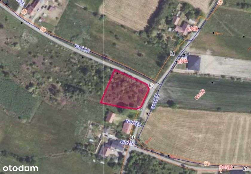 Malownicza działka budowlana 2087 m2 Wykroty - Pełny obrazek: 5/6