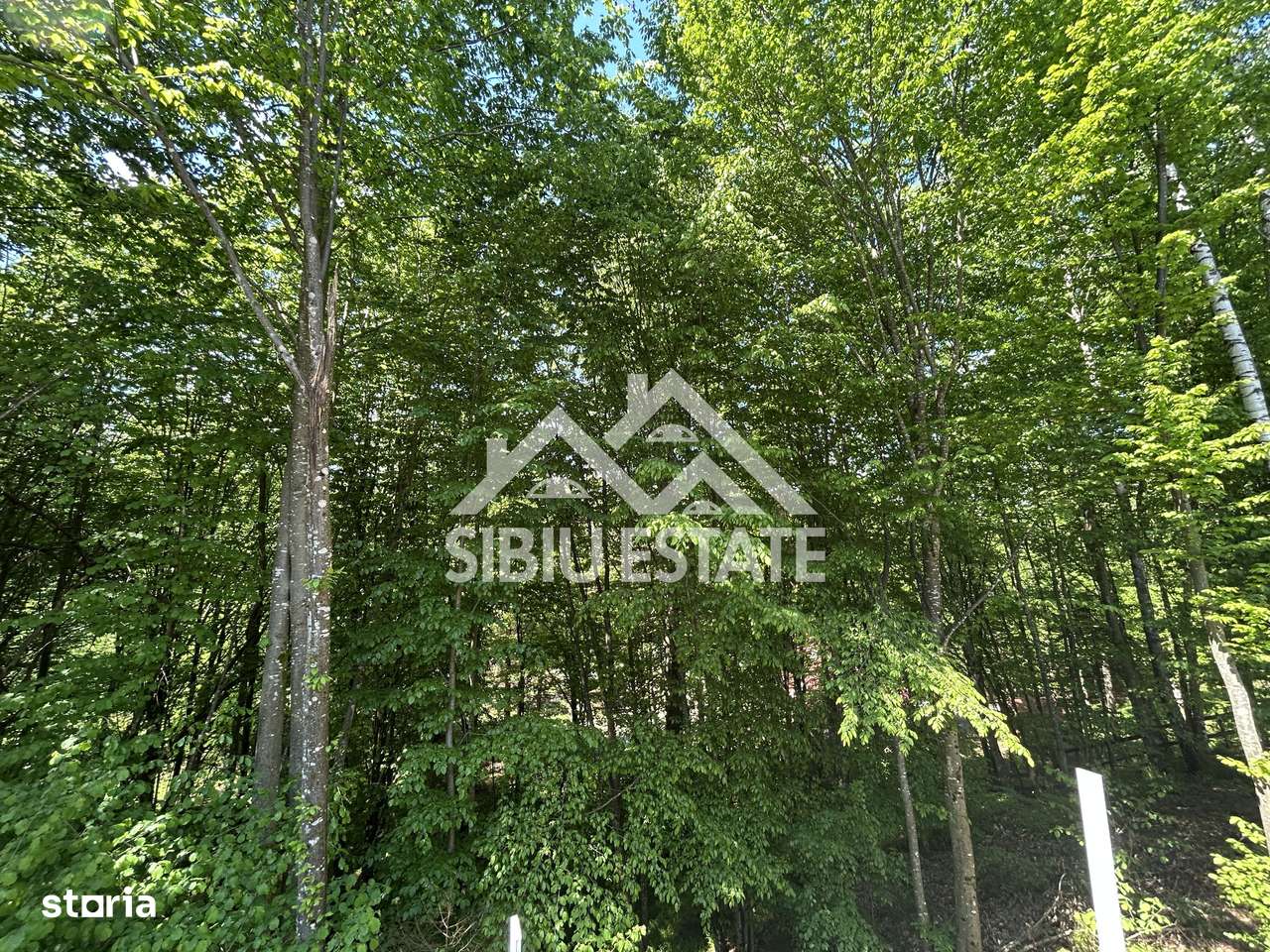 Cabană Premium în Porumbacu de Sus, Oportunitate Investiție / AirBnb-2