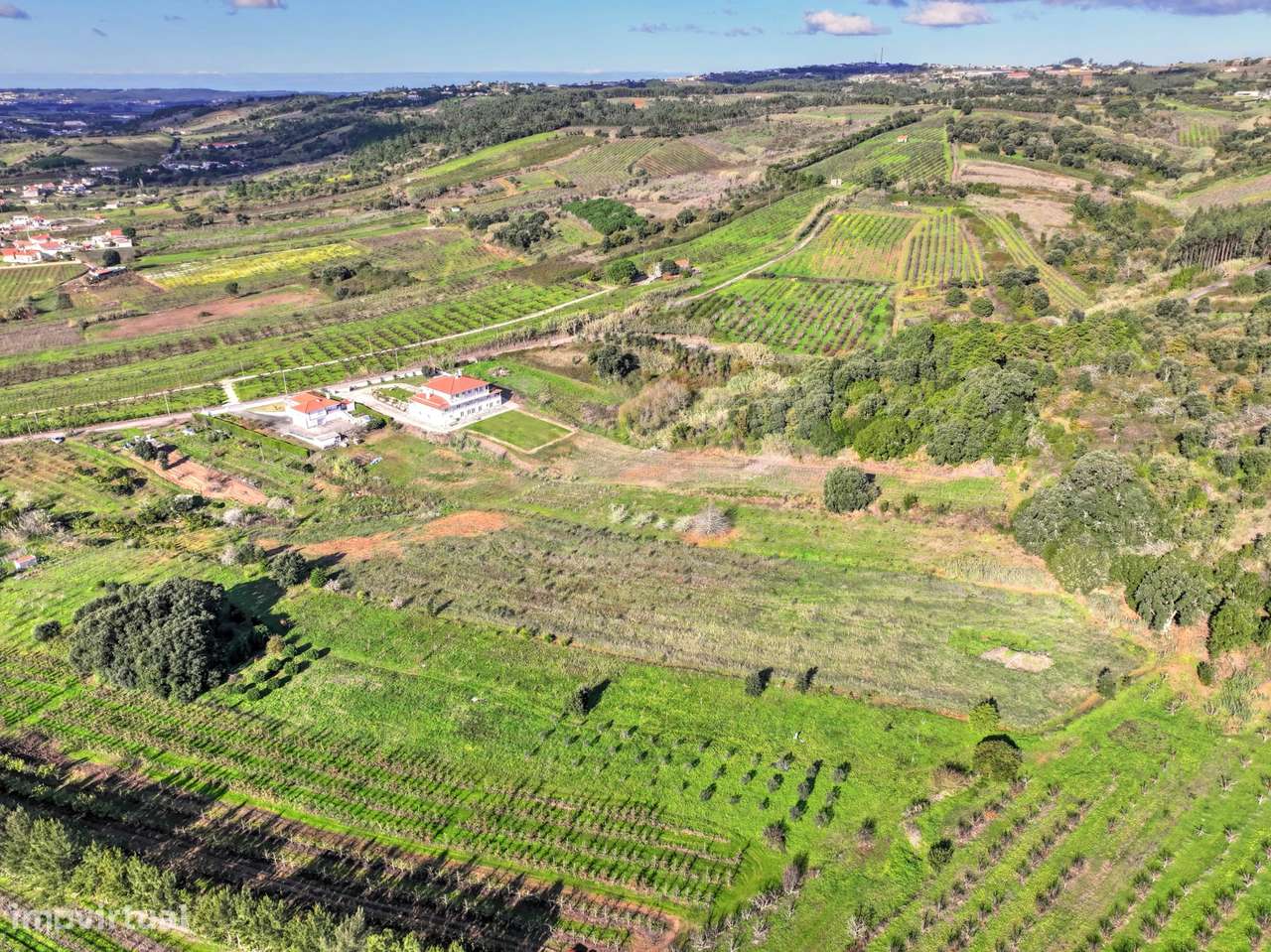 Terreno Rústico c/ Poço & Viabilidade de Construção ! - Grande imagem: 5/9