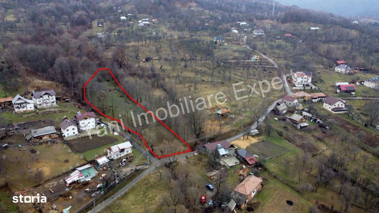 Teren de vânzare în comuna Arefu, județ Argeș ( Transfăgărășan ) - Imagine principală: 3/20