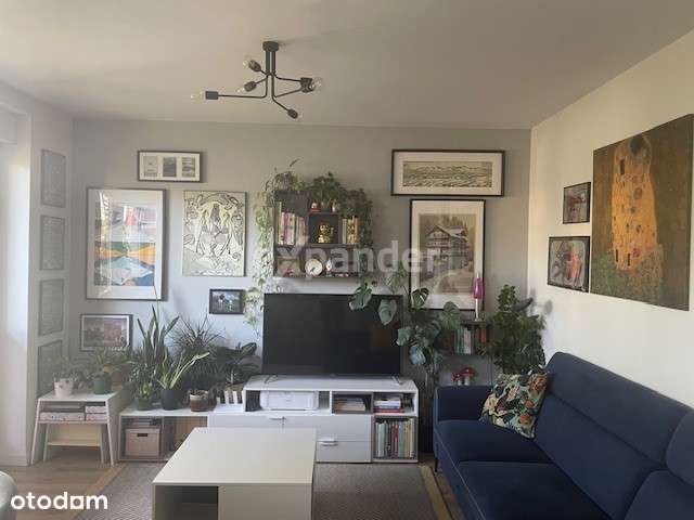 Design - Komfort 3 Pokoje Oś. B.śmiałego 2015