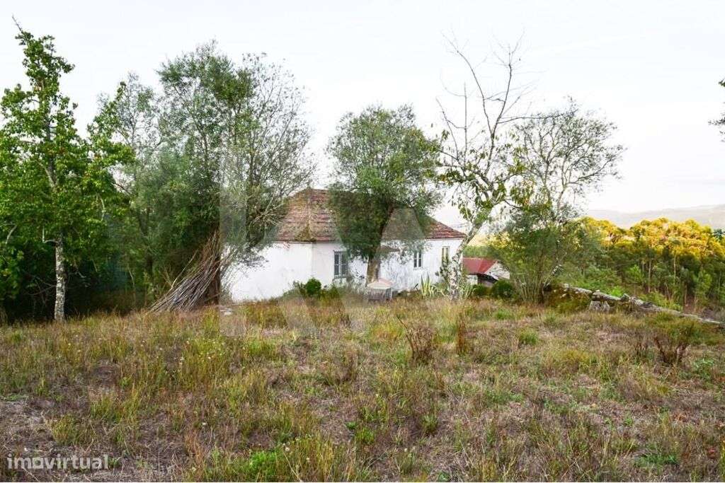 Moradia T3 para recuperar - Grande imagem: 5/10