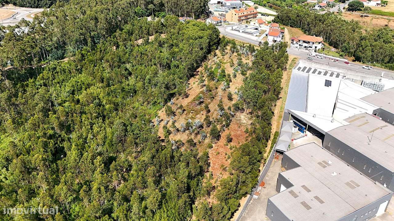 Terreno para Atividades Económicas – Oportunidade em Santa Maria da Fe - Grande imagem: 5/9