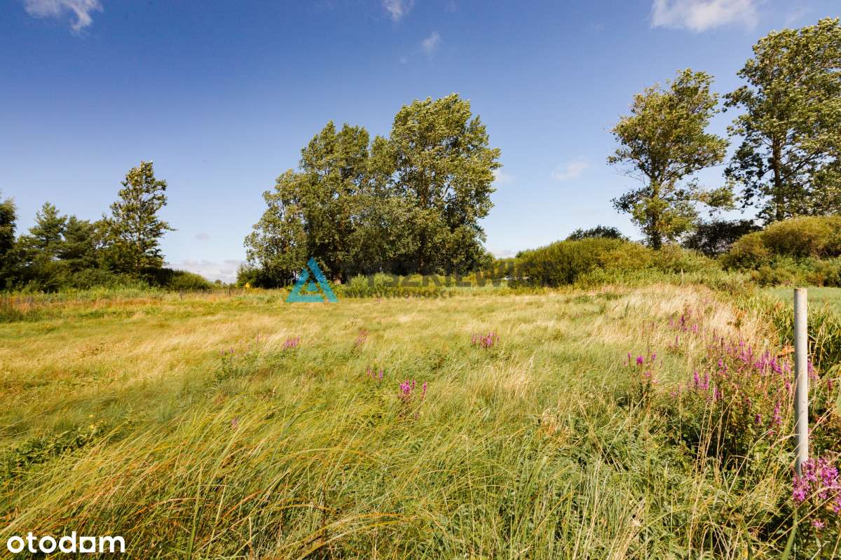 Działka rolna Karwieńskie Błota - Pełny obrazek: 5/7