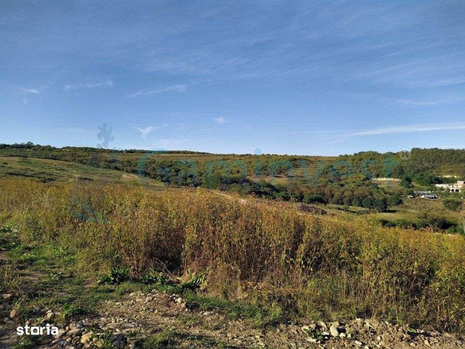 Gaminvest-Teren intravilan, priveliste spre lac, Saldabagiu V3921 - Imagine principală: 4/5