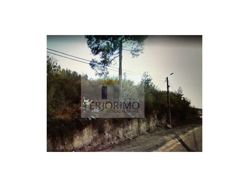 LOTES VILARINHO - Grande imagem: 2/5