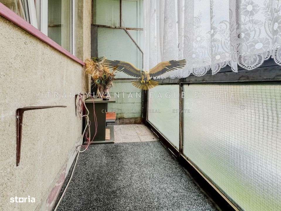 Locuinta decomandata cu 2 camere|situata pe A. Vlahuta|Grigo-11