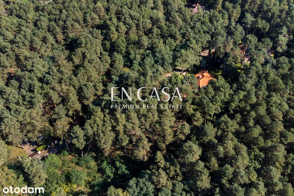 Radość | Piękna działka - 1813 m2 | Starodrzew - Pełny obrazek: 5/7