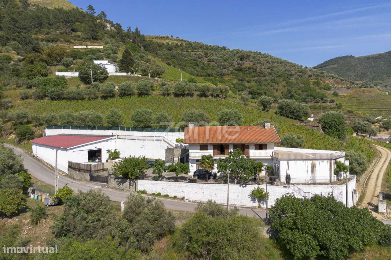 Casa da Amendoeira, Covelinhas - Grande imagem: 3/60