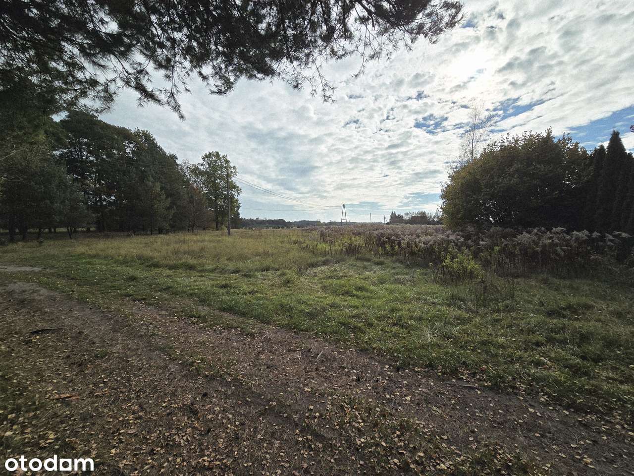 Piękna działka w Rybojadach | Zaciszne spokojne miejsce-6