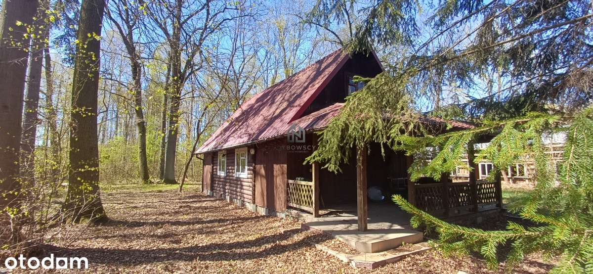3185 m² prywatnego lasu pod Warszawą Dom z bali