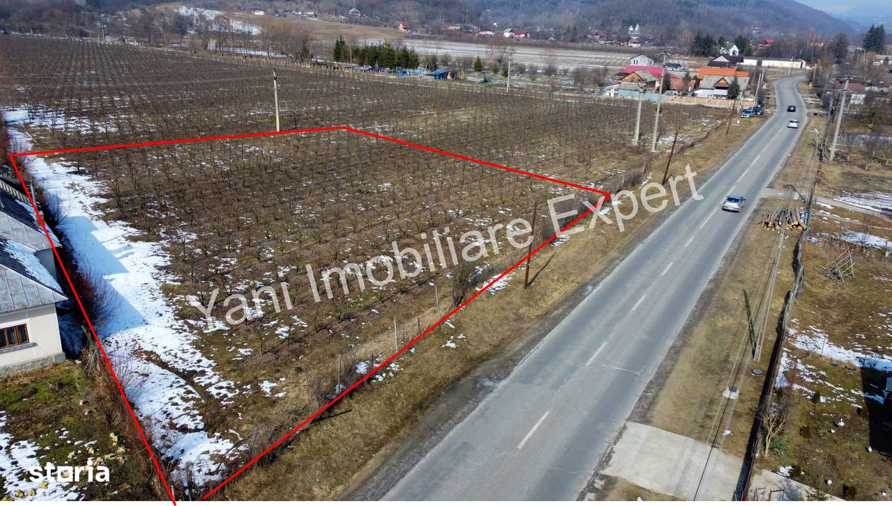 Teren de vânzare în comuna Mușătești, județ Argeș ( 2815 mp ) - Imagine principală: 5/14