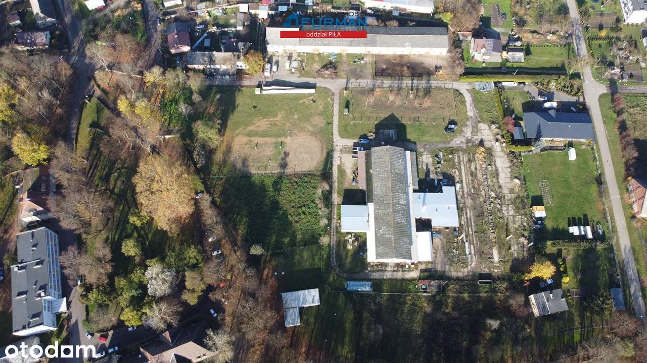 Hala na sprzedaż, Trzcianka (gw) - Pełny obrazek: 4/19