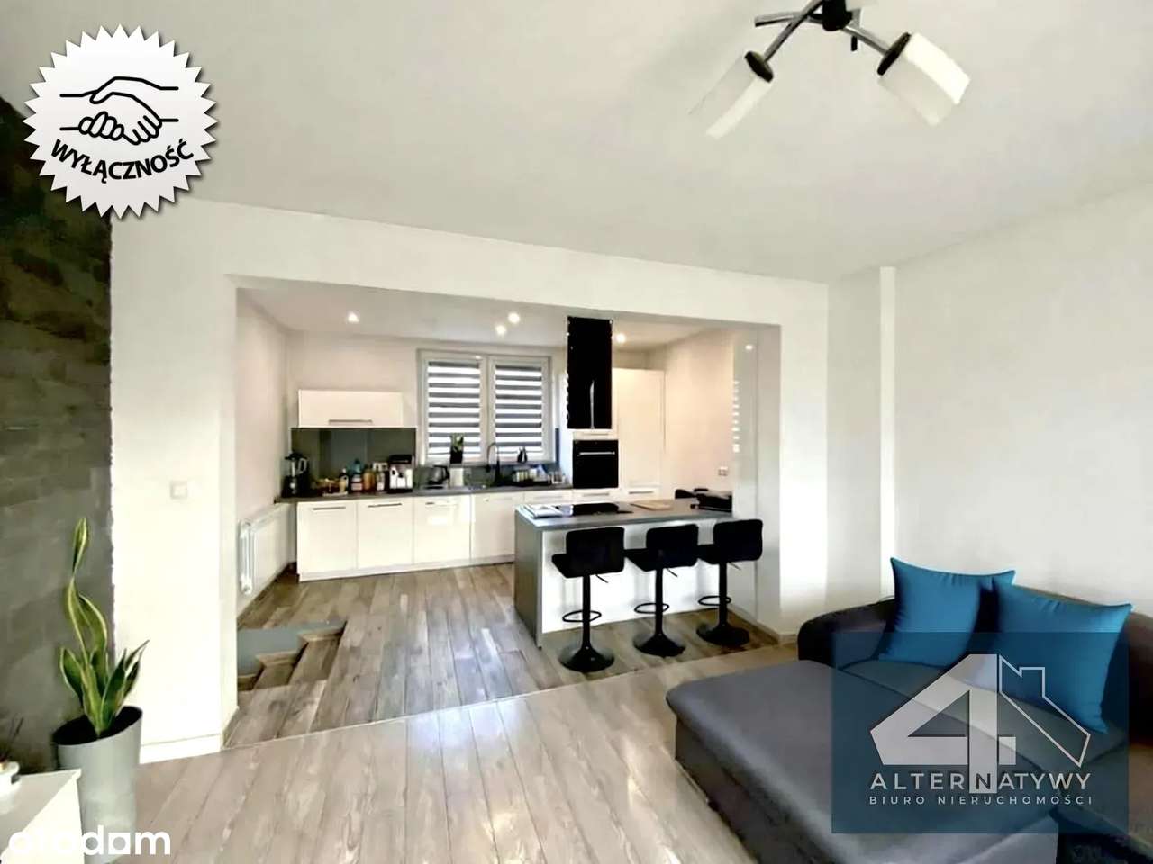 Okazja - dom z ogromnym potencjałem, pod Krakowem - Pełny obrazek: 4/17