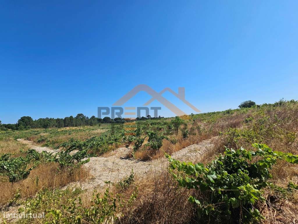 Oportunidade Única no concelho de Palmela, freguesia de Poceirão e ... - Grande imagem: 5/10