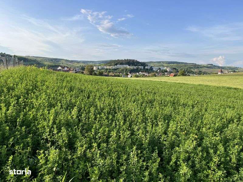 Teren pentru constructii - Imagine principală: 4/4