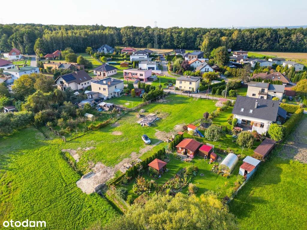 3352/2658/OGS - Pełny obrazek: 5/6