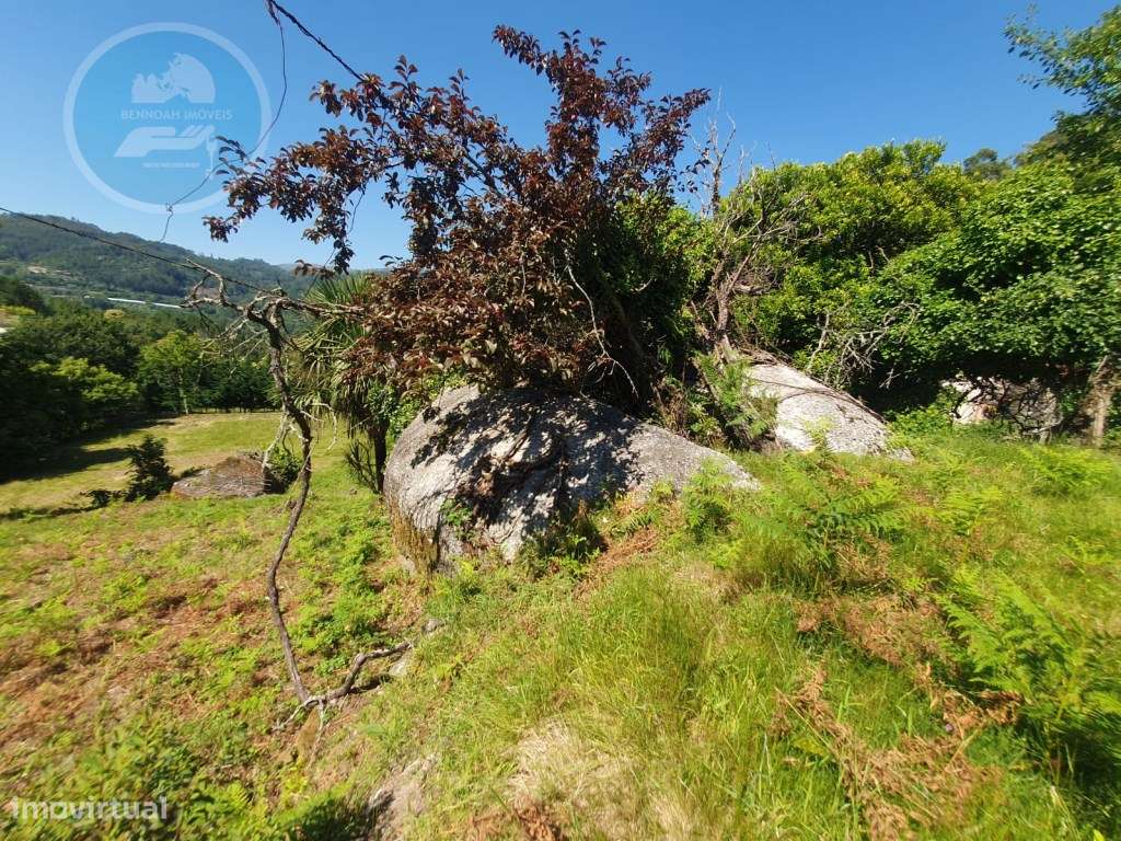 Quinta à venda para restauro em Arroteia freguesia de Rossas-19