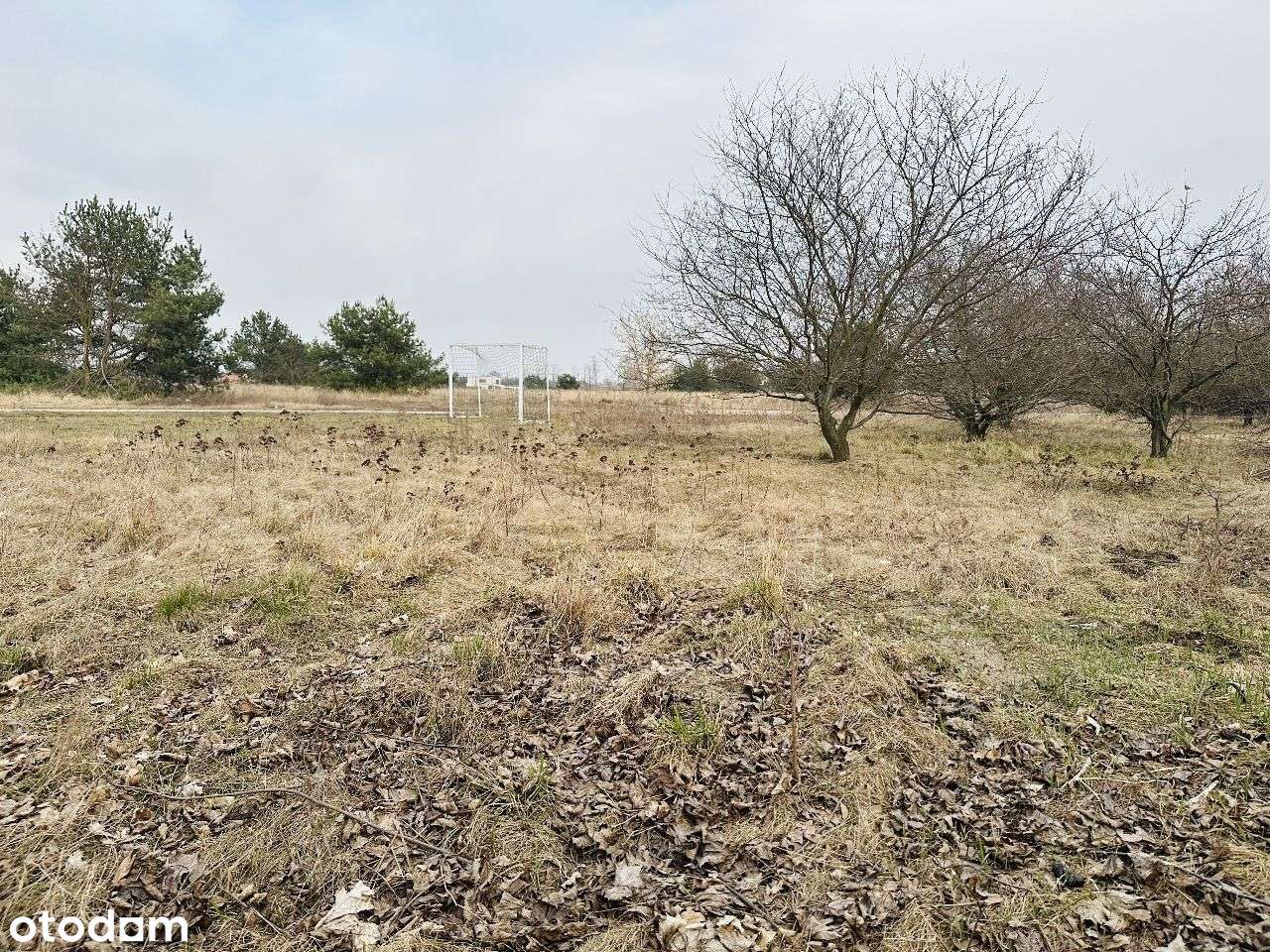 Działka budowlana ul. Południowa 2215m2 - Pełny obrazek: 5/11