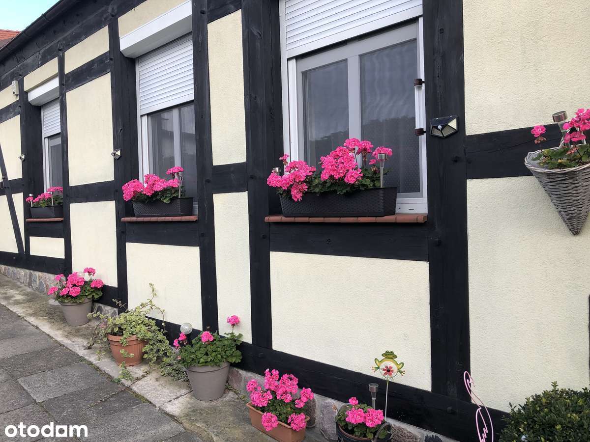 Mieszkanie, 62 m², Ustka - Pełny obrazek: 4/12