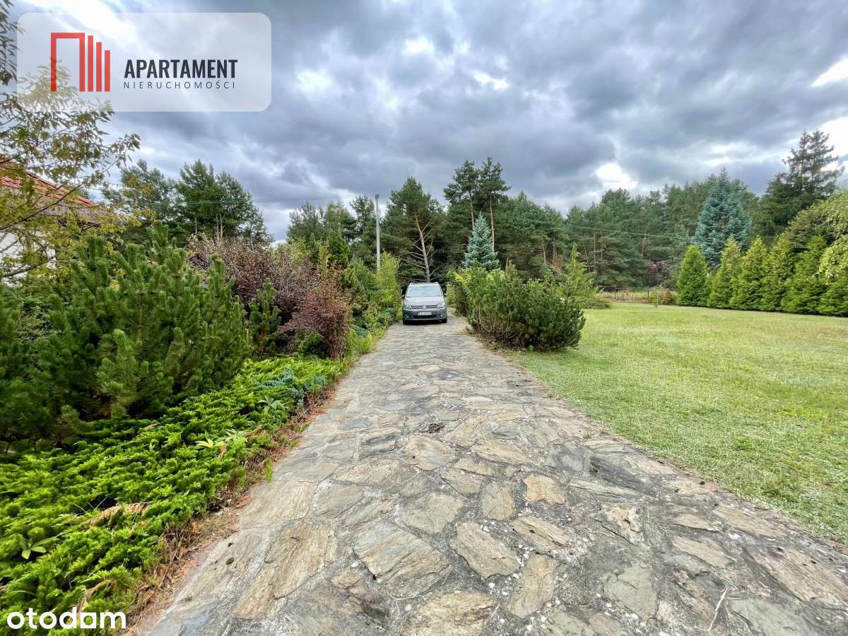 Drewniany dom z bali z widokiem na las - Pełny obrazek: 4/20