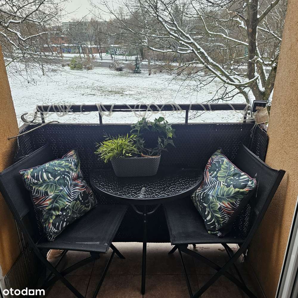 Przytulne M3 w centrum Rybnika - Pełny obrazek: 4/7