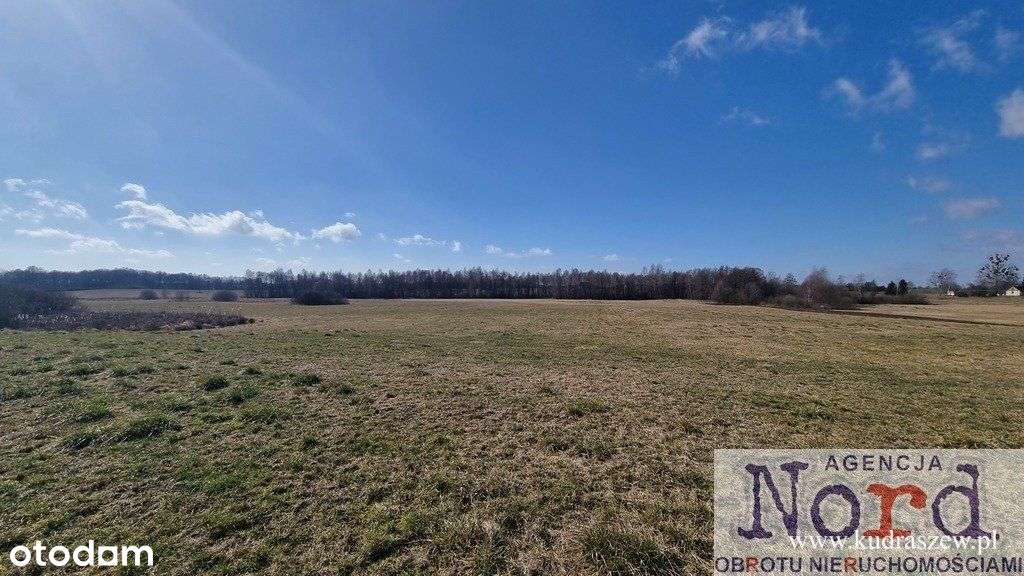 Działka usługowa w pobliżu Augustowa - Pełny obrazek: 4/9