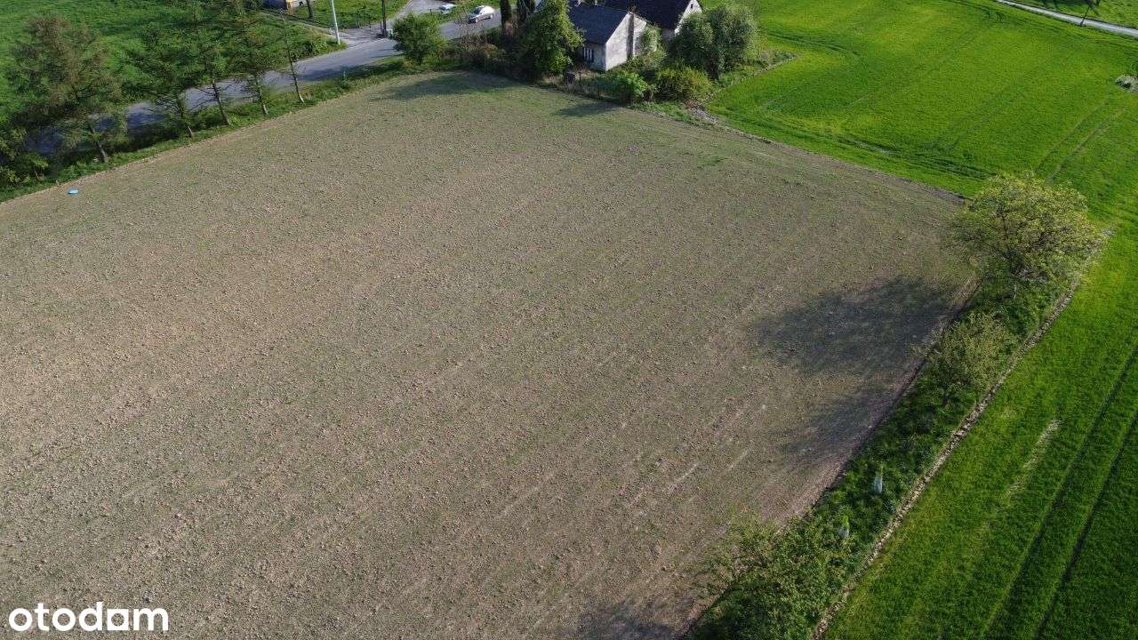 Działka budowlana – Kaczyce, ul. Otrębowska - Pełny obrazek: 4/6