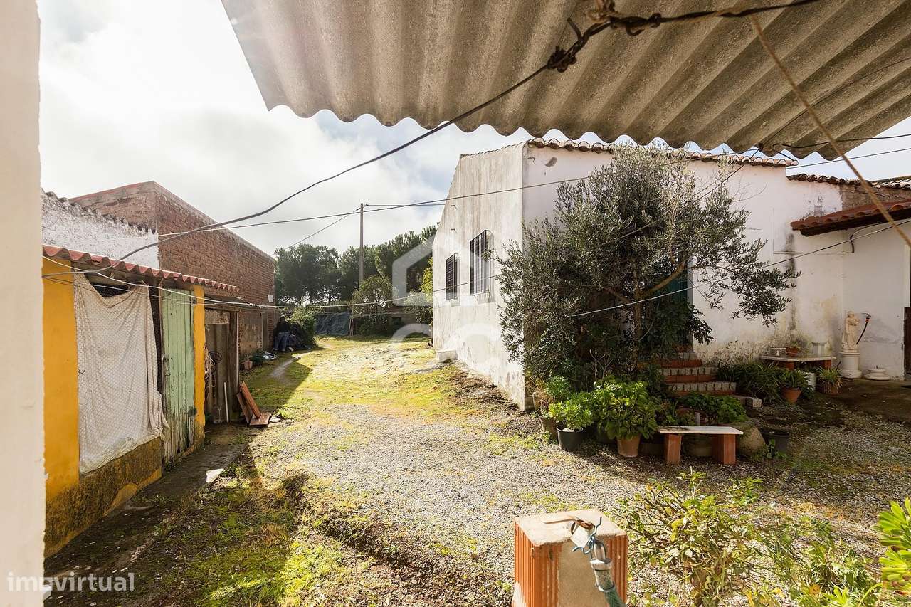 Quinta T5 de 0,9 ha com Moradias e Anexos | Torrão, Alcácer do Sal-59