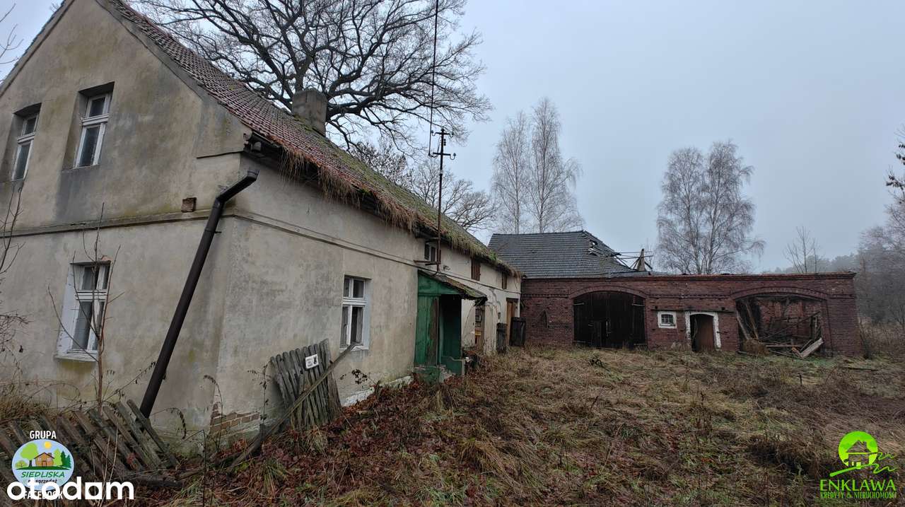 ENKLAWA prezentuje: STARE i KLIMATYCZNE siedlisko w lubuskim! Zobacz!-11