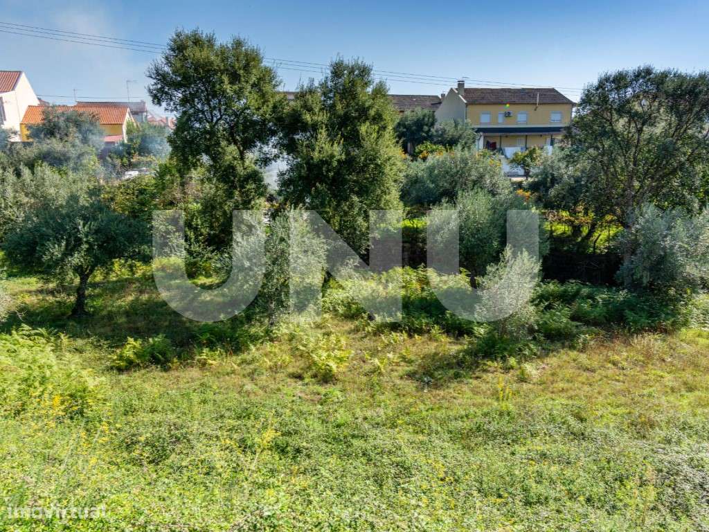 TERRENO RÚSTICO COM VIABILIDADE DE CONSTRUÇÃO NO DOMINGUIZO, COVILHÃ! - Grande imagem: 5/9