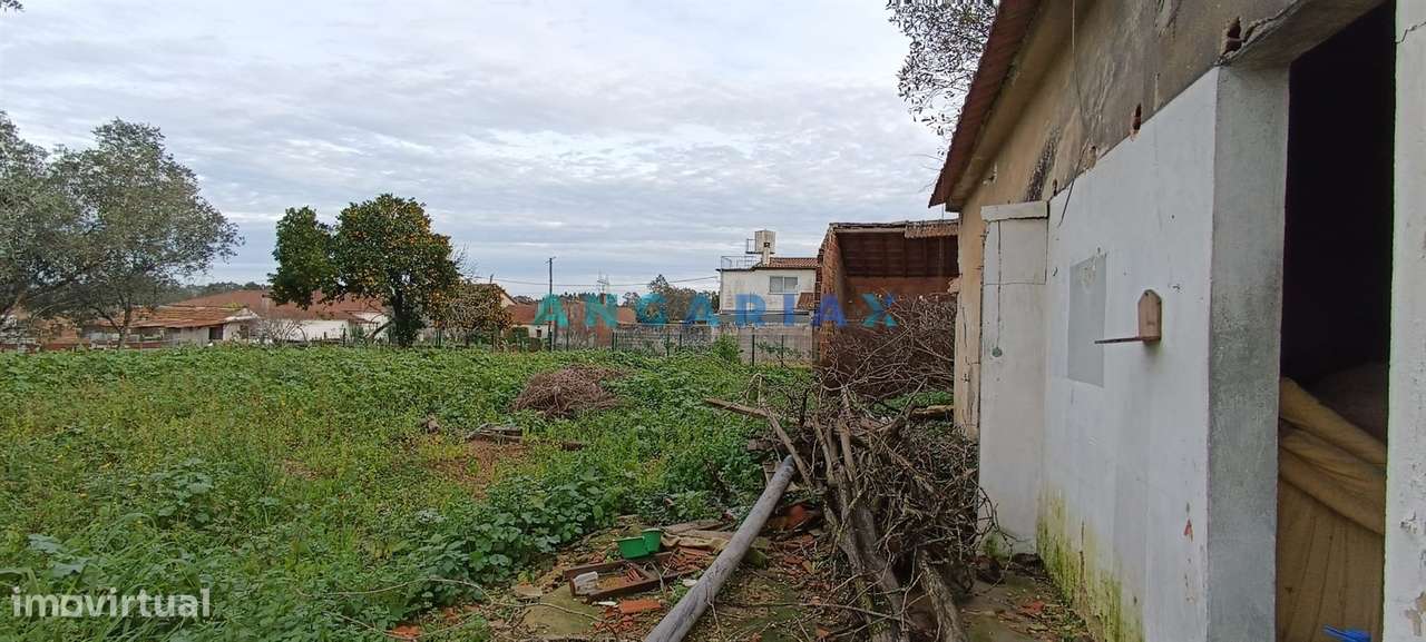 ANG1519 - Moradia T3 para Venda em Bajouca, Leiria - Grande imagem: 5/13