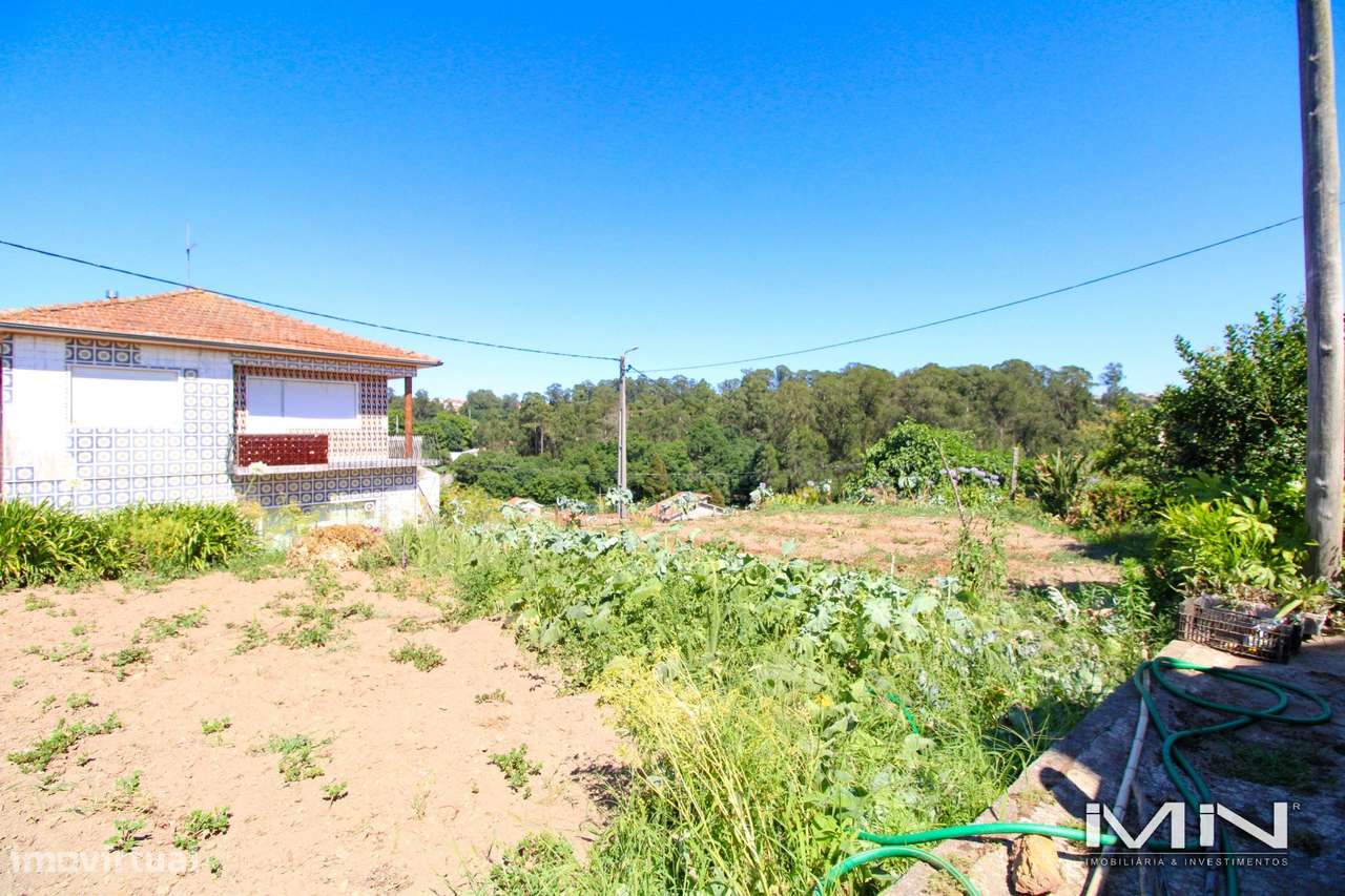 Mini Quinta com Construção Robusta, Poço, Adega e Viabilidade para Seg-40