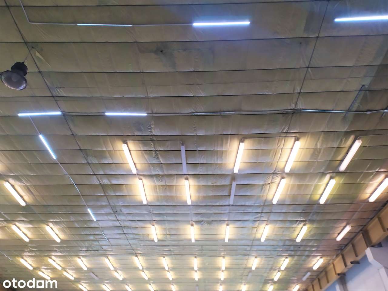 Hala magazynowo - produkcyjna w Krakowie -  800 m² - Pełny obrazek: 4/6