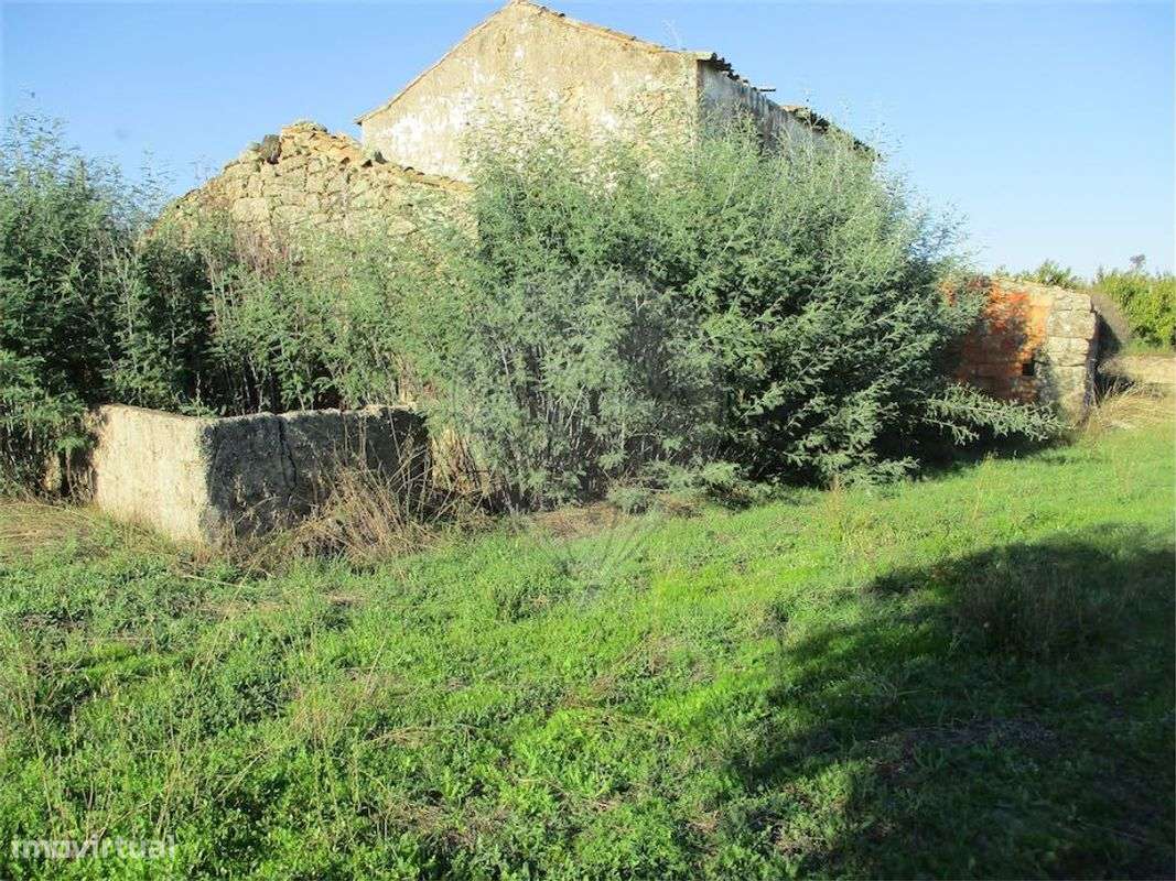 Quinta  para venda - Grande imagem: 5/12