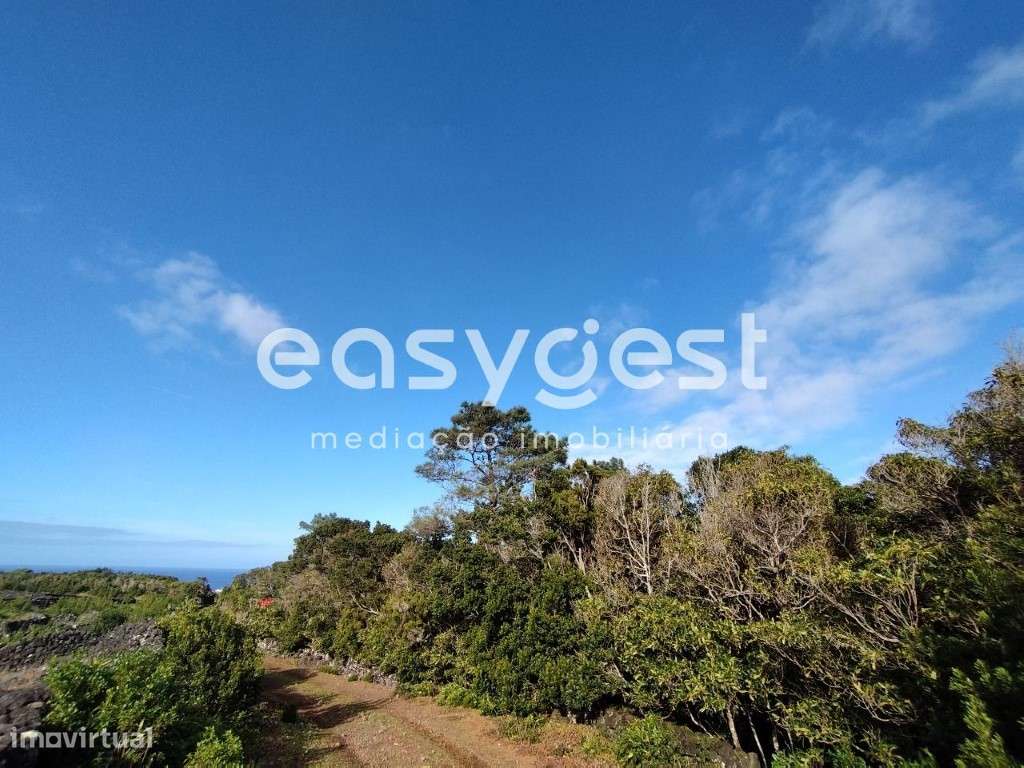 Terreno no 'coração' vitivinícola do Lajido de Santa Luzia no Pico - Grande imagem: 4/22