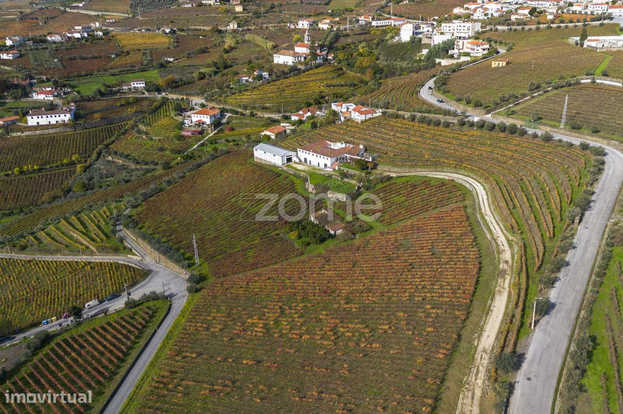 Quinta na Régua com 4.5 Hect de Vinha, com casa Duriense com 510 m2 - Grande imagem: 3/60