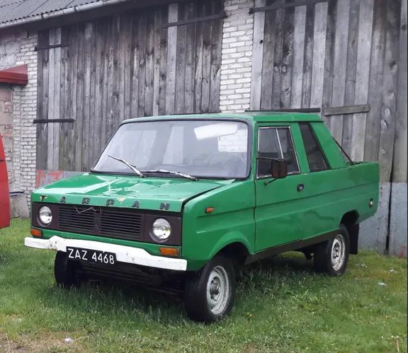 Tarpan 1984
