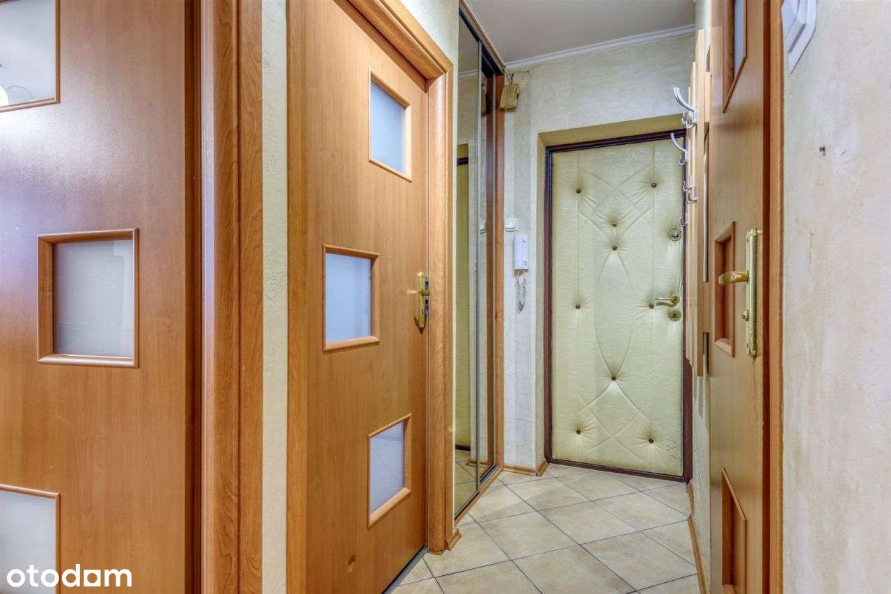 Okolica, metraż, układ - Idealne!-10