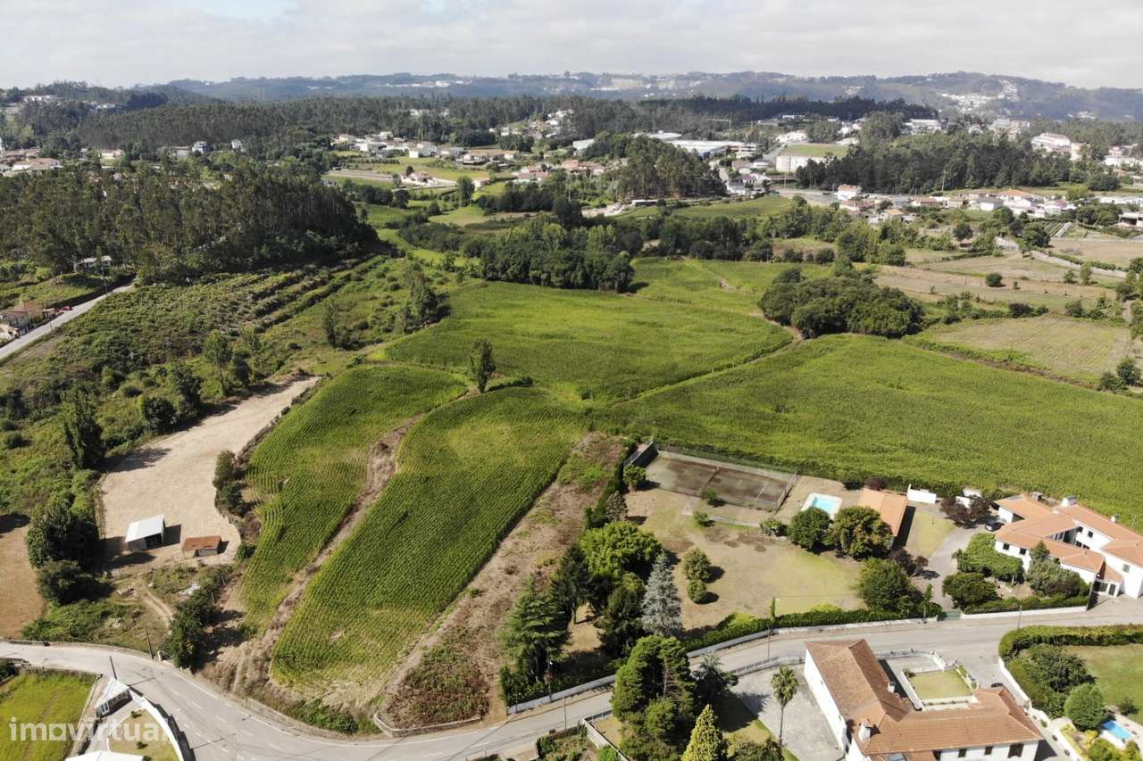 20.590 m2 | Excelente Exposição Solar | Regato e Rego de Rega | Guisan-12