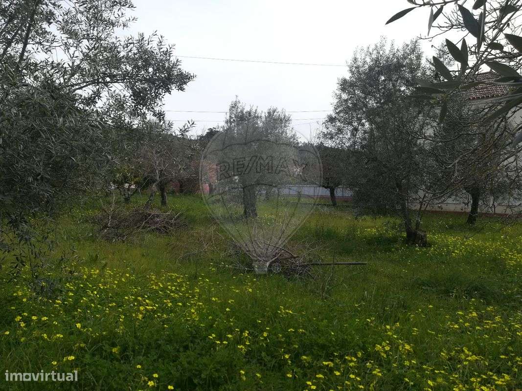 Terreno  para venda - Grande imagem: 3/4